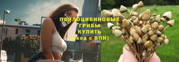 амф Алзамай