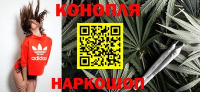 гидропоника Сланцы