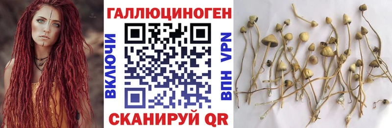 Псилоцибиновые грибы Magic Shrooms  Тайшет 