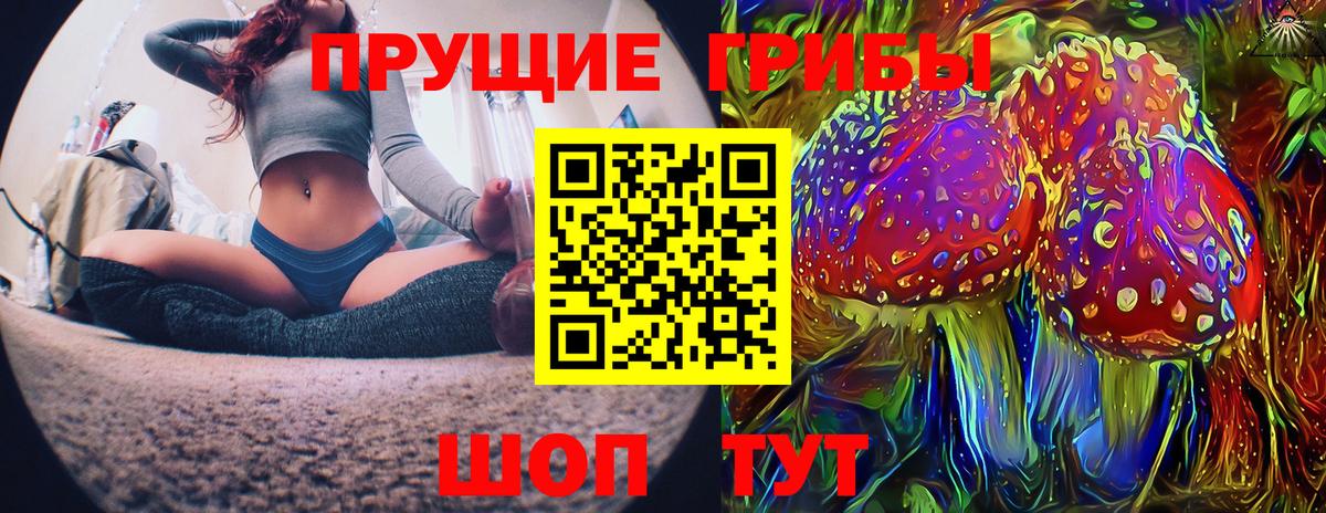 Галлюциногенные грибы Psilocybine cubensis  продажа наркотиков  Тайшет  Вход с VPN  Галлюциногенные грибы Psilocybe 
